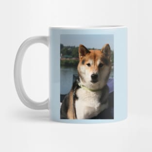 shiba inu 1 Mug